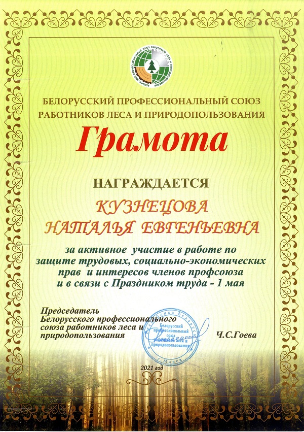 Diploma 2